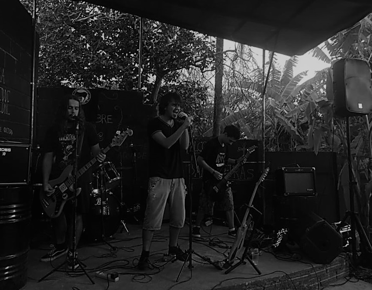 Novo Rock Brasil - Banda ZINID